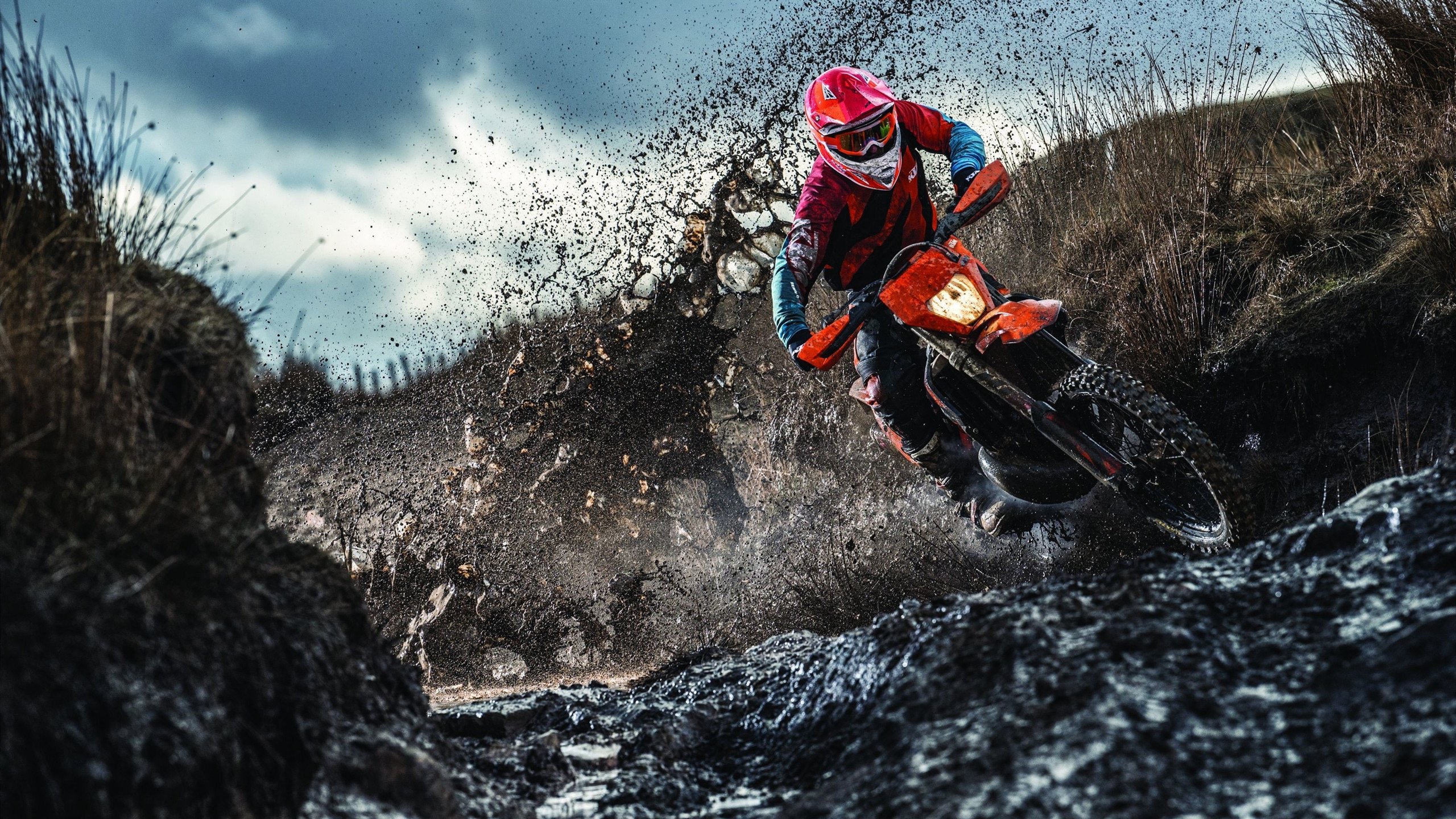 传统火把晚会舞龙舞狮，文化与运动盛大庆典